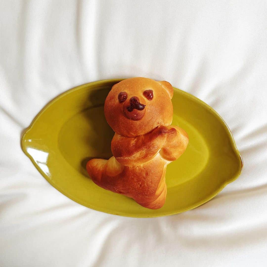 朝見心さんのインスタグラム写真 - (朝見心Instagram)「(∵) ⁡ ⁡ パンがこんなに可愛いことある？ ⁡ ⁡ ⁡ 可愛すぎていっぱい撮った🧸🍞 食べられへん ⁡ ⁡ ⁡ ⁡ ⁡ ⁡ #パン #ぱん #ひらがなのぱん可愛いな ⁡ ⁡」6月3日 10時29分 - asamicocoro