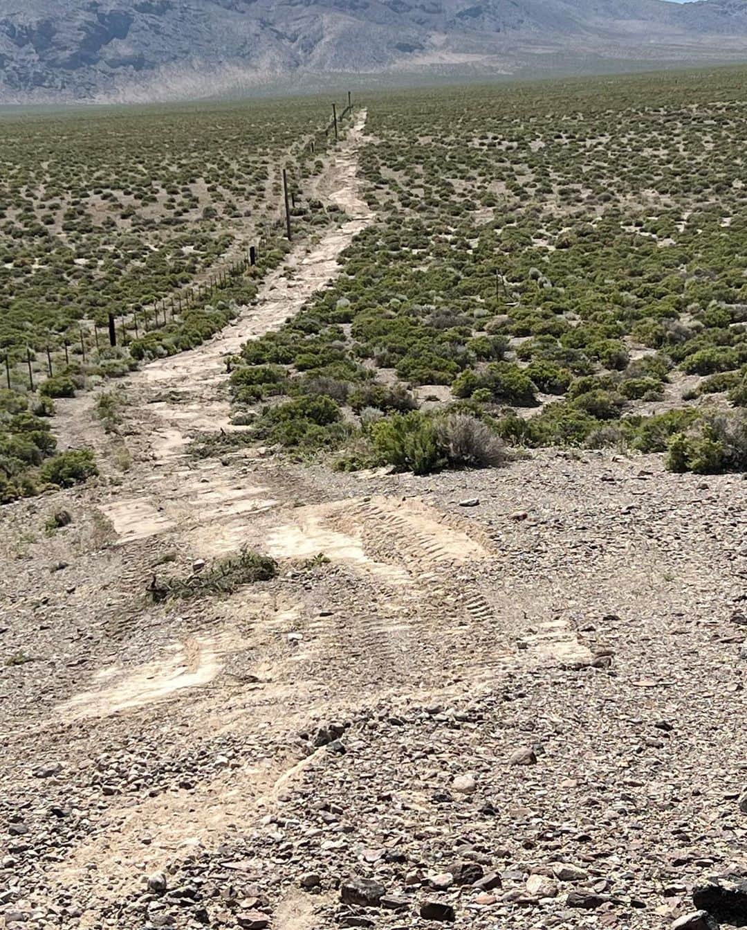 ストーン・コールド・スティーブ・オースチンさんのインスタグラム写真 - (ストーン・コールド・スティーブ・オースチンInstagram)「Clearing Nevada sage brush is very different from South Texas brush country.  Slow going, but it’s very relaxing.  @schererkubota  #desert #4x4 #tractor #kubota   Alice In Chains Would?」6月3日 10時38分 - steveaustinbsr