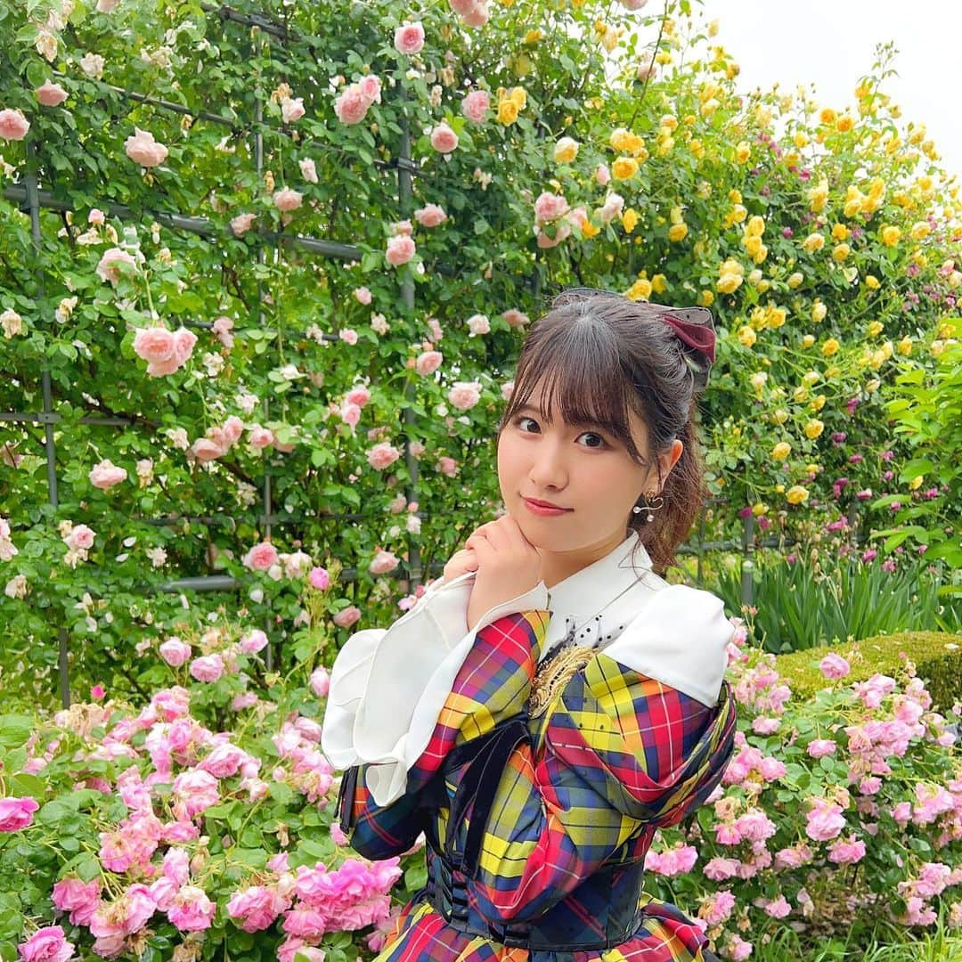 高橋彩香のインスタグラム：「こんなにバラに囲まれることないから 素敵空間すぎたな〜  イベント終わりに写真撮り行ったらほぼ雨やんでた🥲   #さやりん  #高橋彩香  #髙橋彩香  #AKB48  #バラ」