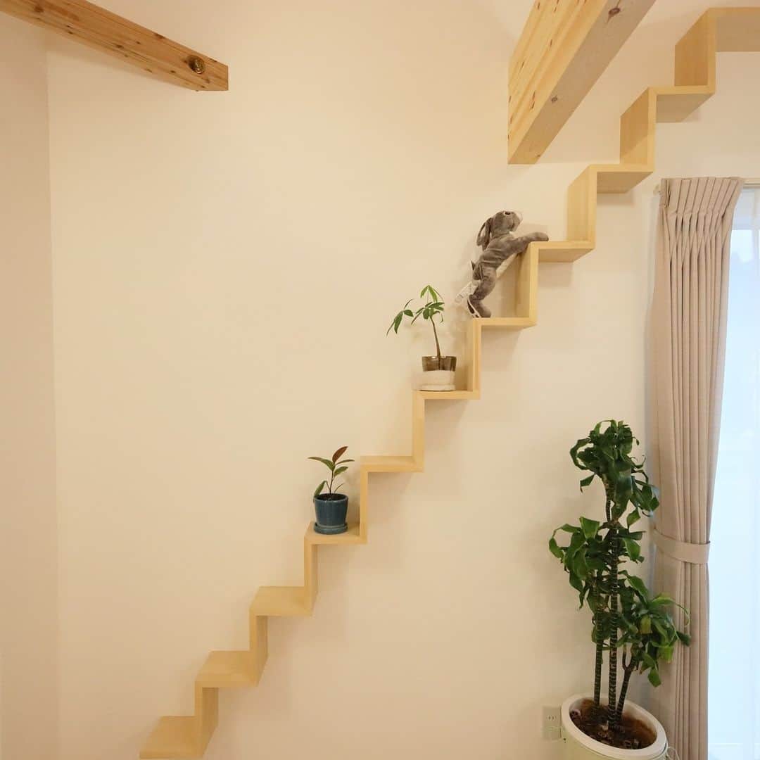 satsumahomeのインスタグラム：「あなたのお好みのデザイン・形のキャットウォークを。  ＿＿＿＿＿＿＿＿＿＿＿＿＿＿＿＿＿＿＿＿＿＿＿＿＿  「体に良くないものは使わない」  漆喰や無垢材などの自然素材だけを使って建てる。 体に安心・安全な無添加の家。 豊中市・箕面市を中心とした北摂エリアで注文住宅を建てる専門工務店です。 ＿＿＿＿＿＿＿＿＿＿＿＿＿＿＿＿＿＿＿＿＿＿＿＿＿＿ さつまのリフォーム ▷@picnicstudio_osaka さつまの不動産　 ▷@sh.fudousan さつまのLINE ▷@sh.lineinfo さつまの工事現場 ▷@sh.factories  #さつまホーム #無添加住宅  #漆喰 #無垢材 #マイホーム記録  #注文住宅  #家づくり #施工事例 #いえすたぐらむ  #おうち時間を楽しむ #ルームツアー  #後悔しない家づくり  #工務店だからつくれる家  #こだわりの家 #高気密高断熱 #設計事務所 #HEAT20 #自然素材の家 #デザイン住宅 #シックハウス対策  ＿＿＿＿＿＿＿＿＿＿＿＿＿＿＿＿＿＿＿＿＿＿＿＿＿」