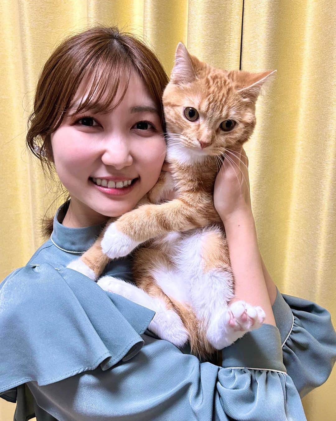 山﨑加奈さんのインスタグラム写真 - (山﨑加奈Instagram)「・ 昨日6月2日は"むにの日"🐈💖 半年が過ぎて、体も態度も大きくなってるむにさん🙌🏻 今日も相変わらず顔殴ってきたけど愛おしさは日々増してます🥰 いつも幸せな時間をありがとう🥹 ・ #6月2日  #むにの日 #スコティッシュフォールド  #立ち耳スコ #子猫 #ねこのいる生活 #ねこすたぐらむ #ねこばか部 #🐈」6月3日 21時46分 - kana_yamazaki_sbs