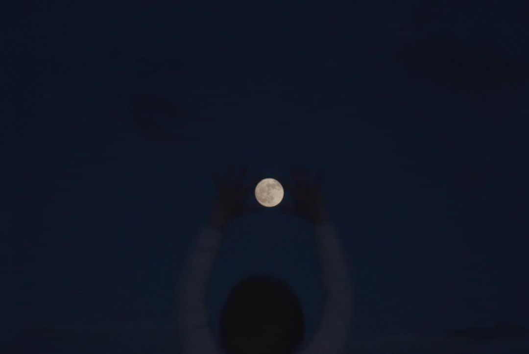 naorinmoonのインスタグラム：「十四夜。  ⁡ ⁡ ⁡ ⁡ ⁡ ⁡ ⁡ ⁡ ⁡ ⁡ ⁡ ⁡ ⁡#moon #moon_of_the_day #十四夜  #fujifilm #fujifilm_xseries #ifyouleave  #hellofrom #hokkaido #instagramjapan #ig_japan_ #still_life_nature #nowheredialy #still_life_mood  #reco_ig #nature_brilliance #minimalmood #ig_eternity #thinkverylittle #genic_mag #into_the_screen  #moody_nature #ourmomentum #heart_imprint」