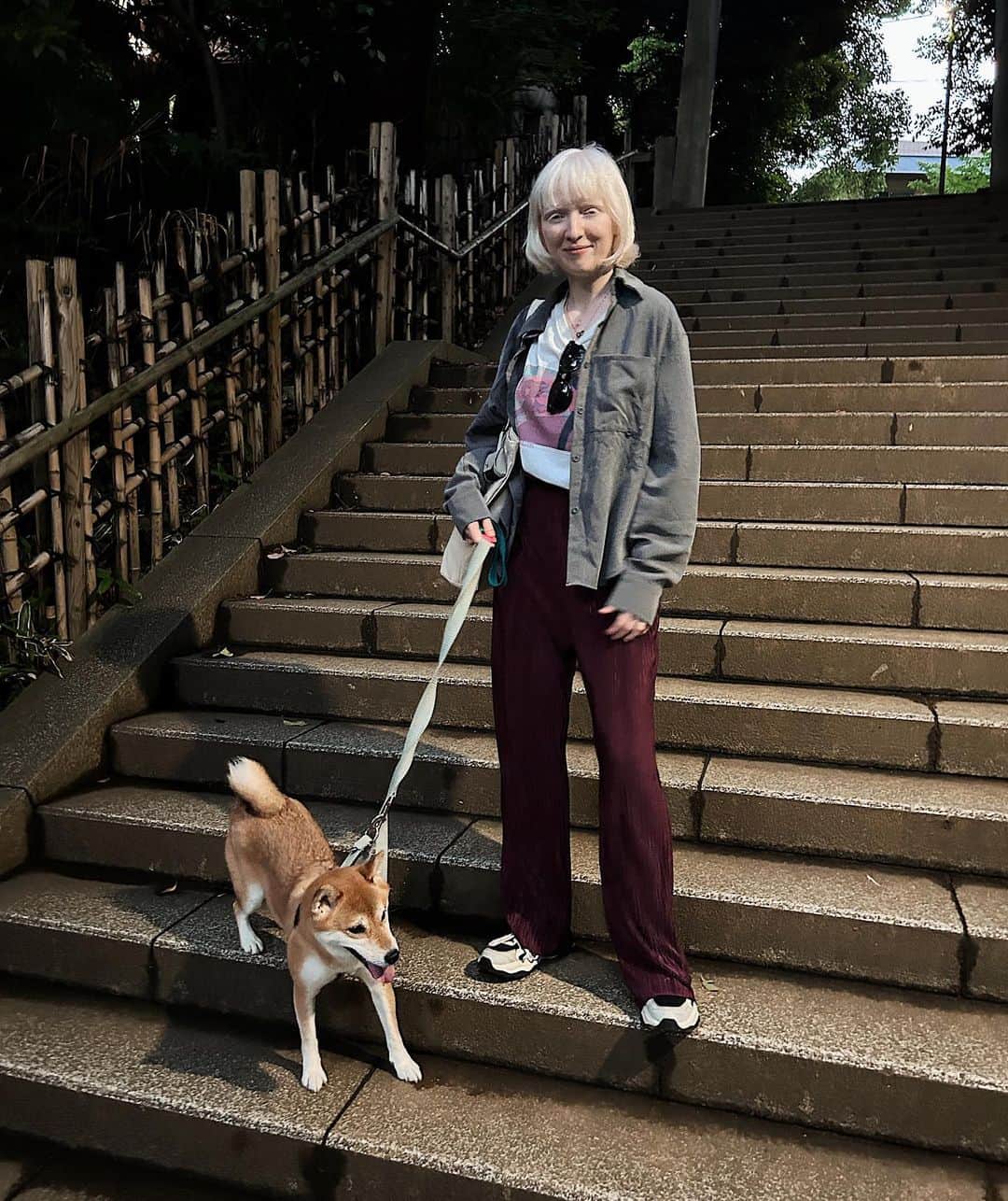 ナスチャさんのインスタグラム写真 - (ナスチャInstagram)「shiba in the temple 🥹 missed hime chan so much ✨」6月3日 22時05分 - kiker_chan