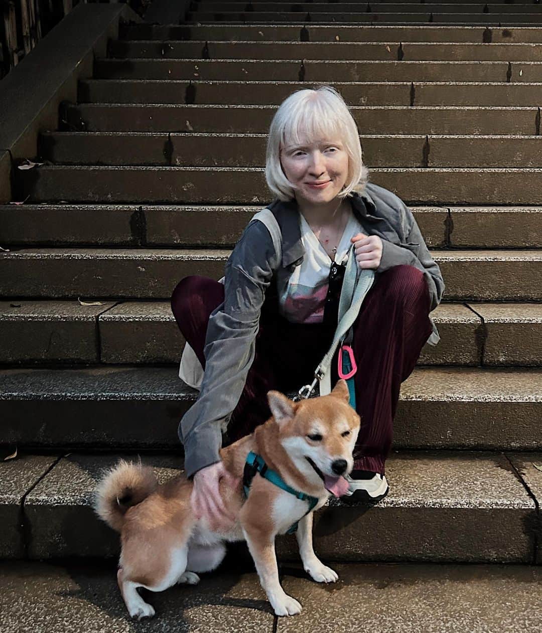 ナスチャのインスタグラム：「shiba in the temple 🥹 missed hime chan so much ✨」