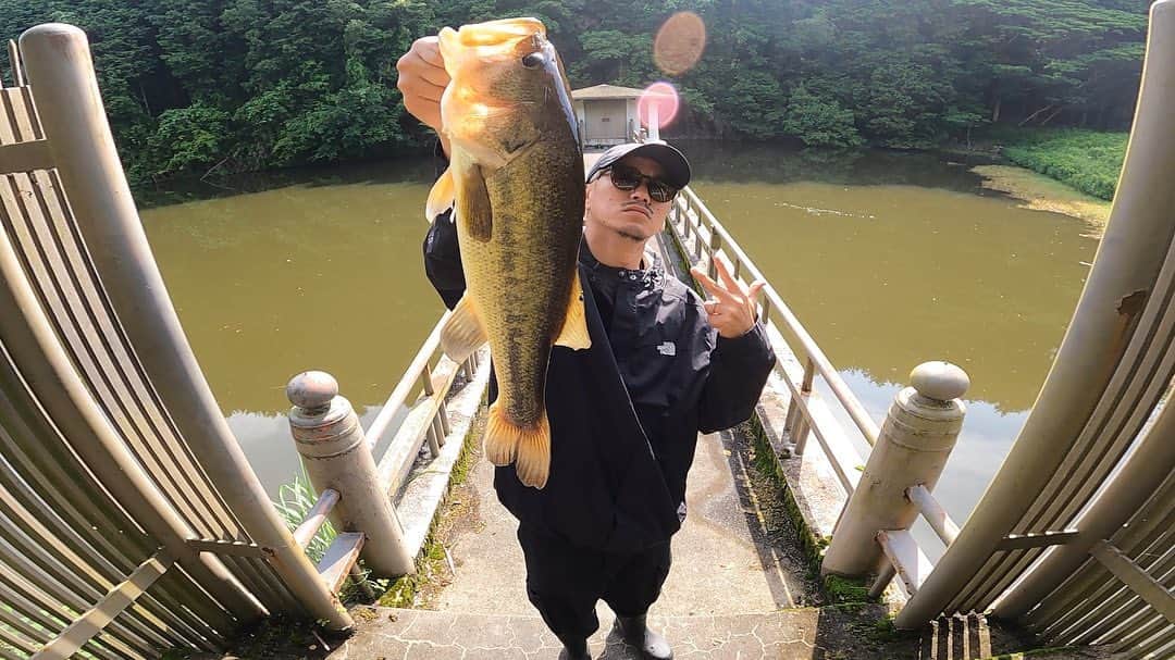 伊藤千秋のインスタグラム：「先日系回復系の45cm🐟 シャローカバーに潜むパワーのあるバスをGET😎 @geki_style から頂いた大事に取ってたボムスライドが炸裂☝️様々なリグであらゆるフィールで使えます。まさに今最高！ 今季関西では一勝一敗と言ったところですが順調に良い経験させてもらってます🔥トップの反応も出てホーム手賀沼系で出したい🙌 さて本業に帰ります🙇笑 @geki_style  @snipeer_official  @gancraft.official  @newerajapan  @clapsstore_official  #line12lbオフセット5/0 #ドキドキフッキング #childmind」