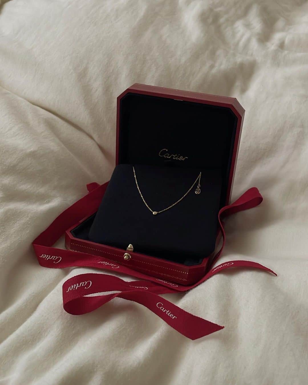 ムサシのインスタグラム：「⁡ Birthday present 🎁 長くずーっと大切に使います 本当にありがとう🥹✨ ⁡ #Cartier #カルティエ #ダムールネックレス」