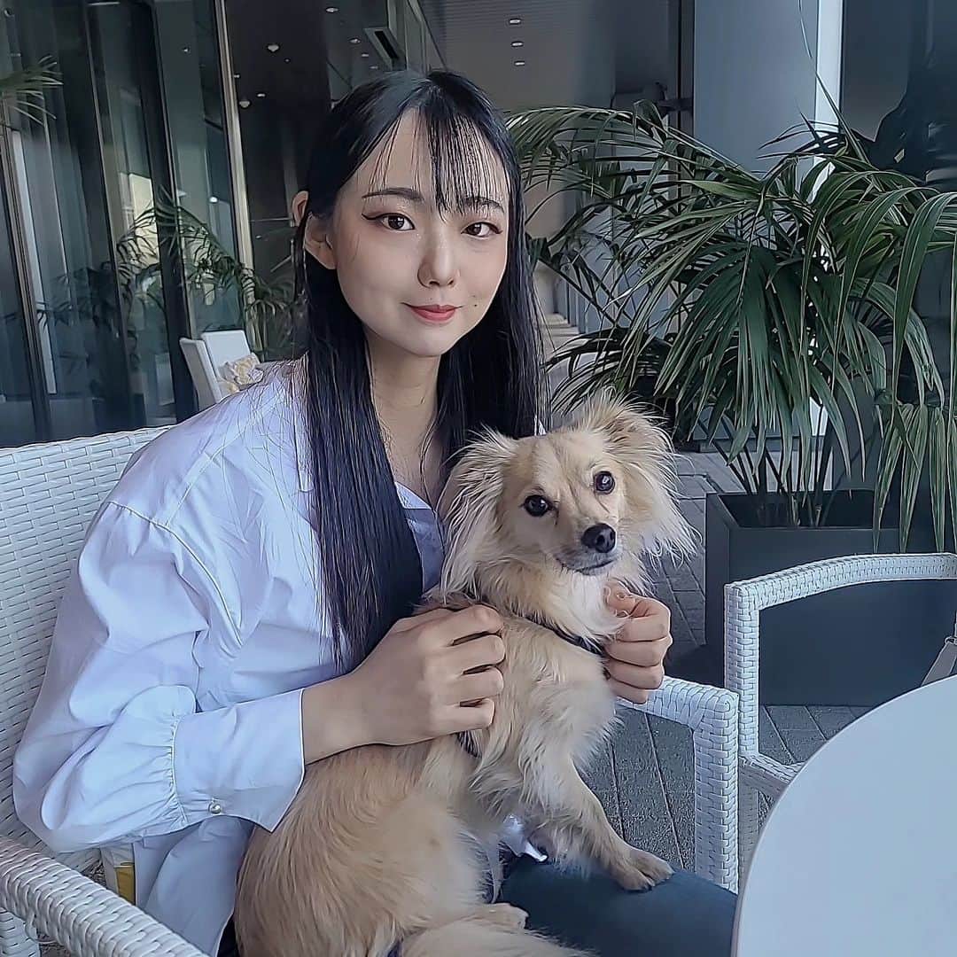 ほたるのインスタグラム