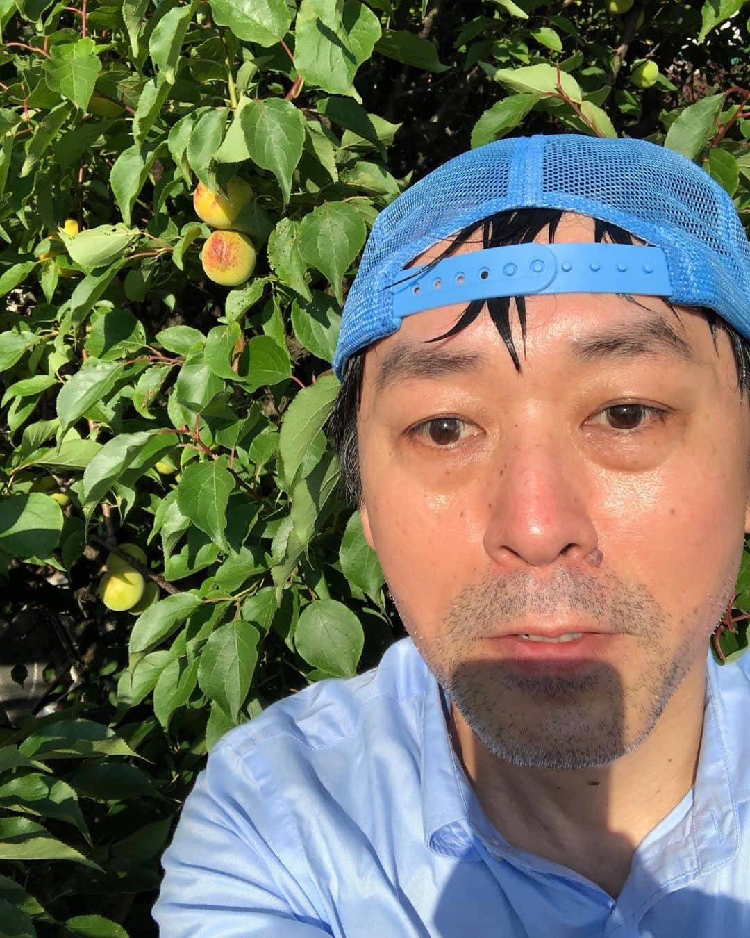 金剛地武志のインスタグラム：「今年も脱サラ跡取り。晴れてよかった！」