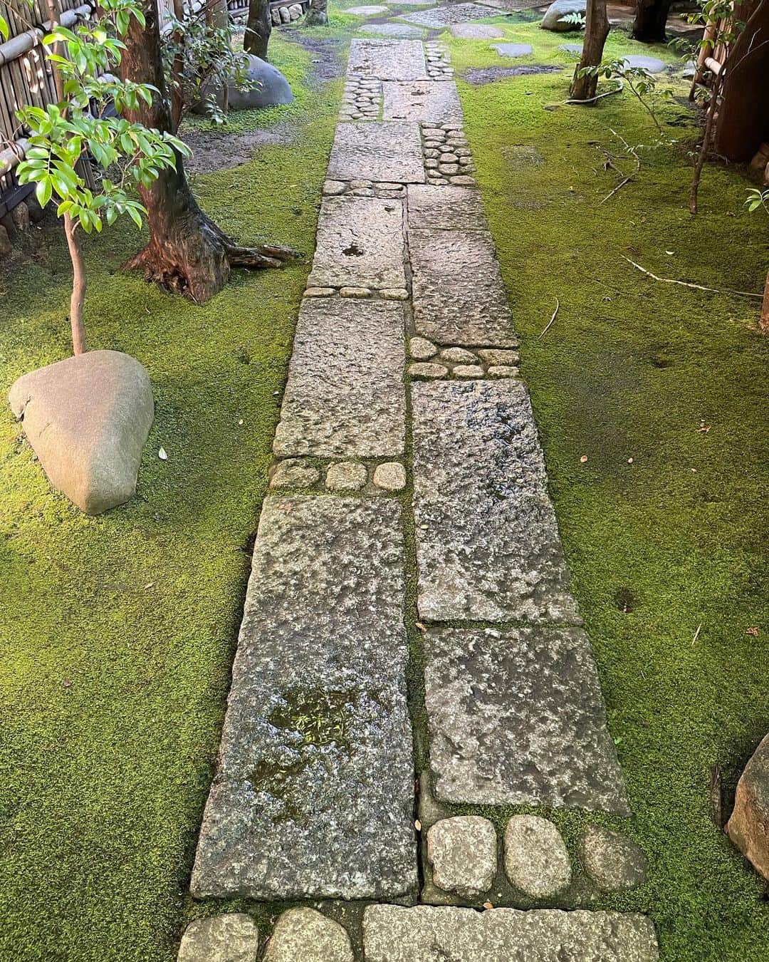 深澤里奈さんのインスタグラム写真 - (深澤里奈Instagram)「◯◯◯  6月のお稽古。 簾戸になっていました。 簾戸…憧れます。  雨上がりで緑濃く。  軽井沢を出る時は、薄手のダウンを羽織ってきましたが 雨上がりの東京は暑くなりました。  #江戸千家 #茶の湯の稽古」6月3日 16時32分 - rinatj