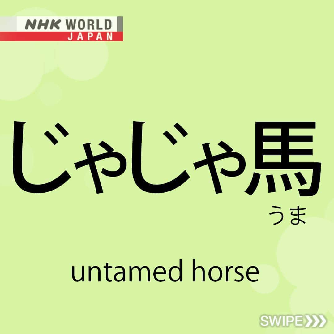 NHK「WORLD-JAPAN」さんのインスタグラム写真 - (NHK「WORLD-JAPAN」Instagram)「Know a spoiled child or someone who acts selfishly? They’re ‘jyajyauma’.😠🐎  ‘Uma’ means horse in Japanese and ‘jyajyauma’ originally referred to an ‘untamed horse’. With time, it became a way to describe people.😒  ‘Jyajyauma’ is written in a combination of hiragana and kanji. ‘Jyajya’ is in hiragana (じゃじゃ) and ‘uma’ in kanji (馬).  Who thinks the character ’馬’ looks like a horse?🐎 . 👉Discover other horse-related words｜Watch｜Magical Japanese: Horse｜Free On Demand｜NHK WORLD-JAPAN website.👀 . 👉For more Japanese language learning and 🆓 free video, audio and text resources, visit Learn Japanese on NHK WORLD-JAPAN’s website and click on Easy Japanese.✅ . 👉Tap in Stories/Highlights to get there.👆 . 👉Follow the link in our bio for more on the latest from Japan. . 👉If we’re on your Favorites list you won’t miss a post. . . #じゃじゃ馬 #馬 #horse #horsewords #spoiledchild #japanesewords #easyjapanese #magicaljapanese #japaneseonline #kanji #hiragana #japaneselanguage #freejapanese #learnjapanese #learnjapaneseonline #日本語 #nihongo #일본어 #japanisch #bahasajepang #ภาษาญี่ปุ่น #日語 #tiếngnhật #japan #nhkworldjapan」6月4日 6時00分 - nhkworldjapan