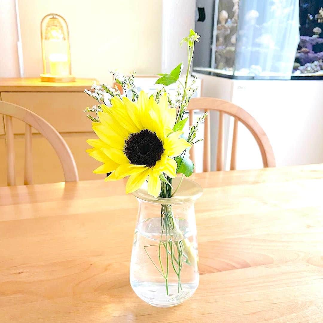 Bloomee LIFEさんのインスタグラム写真 - (Bloomee LIFEInstagram)「夏らしい明るいカラーのひまわり🌻  レモン色が爽やかなひまわりは ガラスの器に生けると ぐっと涼しげな印象に🌿✨  一輪でもお部屋に飾ると 存在感たっぷりです♪  @minapon1018 さんのお写真  #bloomee#ブルーミー#お花の定期便#癒し時間#サブスク#花のある生活#花好きな人と繋がりたい#花写真#花が好き#花を飾る#丁寧な暮らし#お花のある暮らし#暮らしを整える#おうち時間#インテリア」6月3日 18時00分 - bloomee