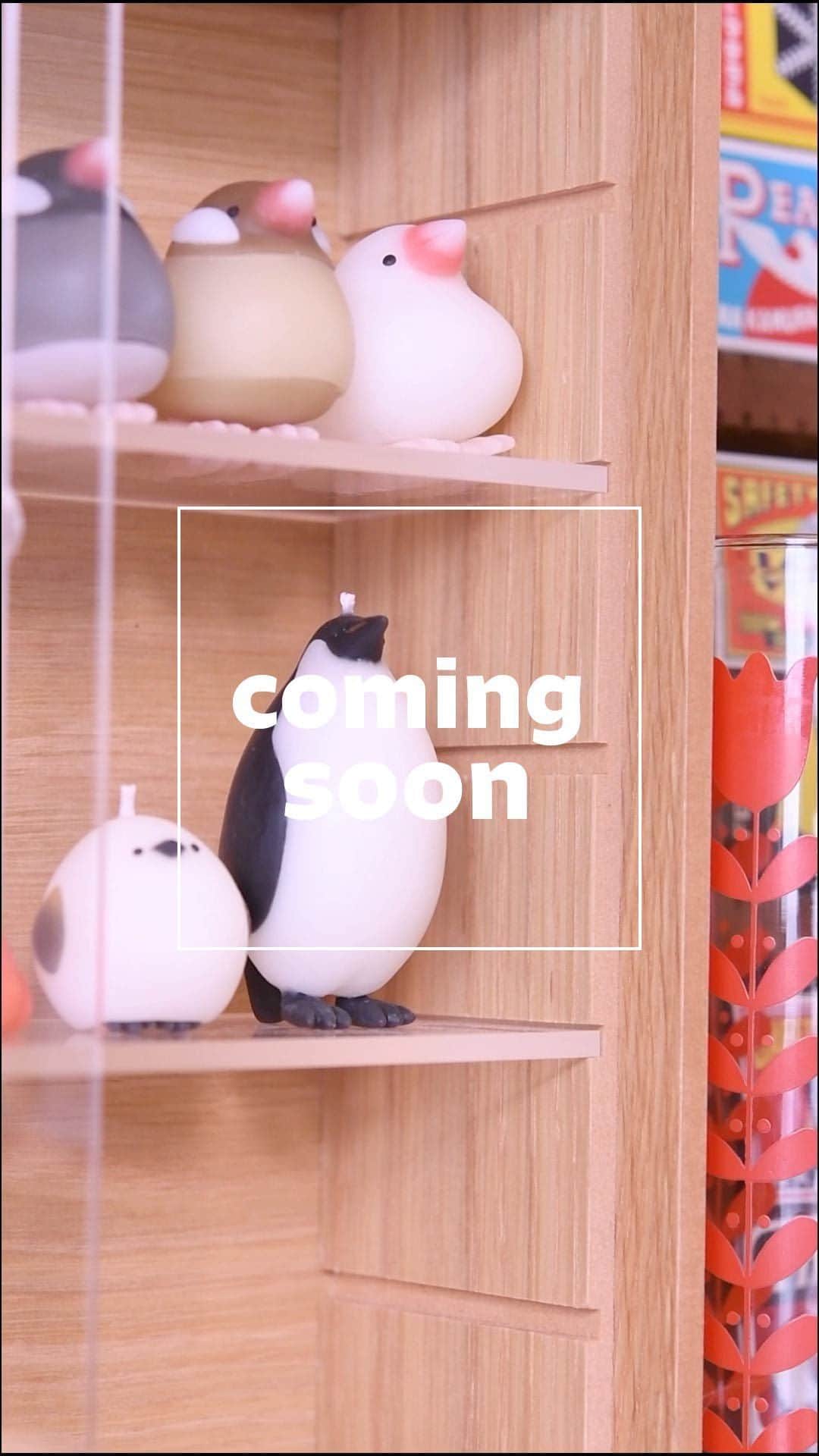 かっぱのインスタグラム：「\\ coming soon !! //  listenerに新しくコウテイペンギンキャンドルを追加予定です🐥  🛒　BASE・minne ⏰　6月 5日(月)　19:00頃  販売開始予定です！ よろしくお願いいたします🙇‍♀️🙇‍♀️🙇‍♀️  #candle #diycrafts #penguin」