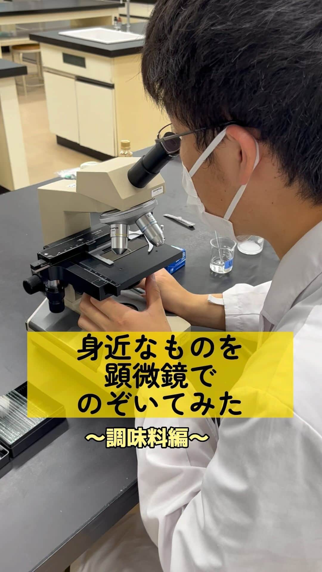 東京バイオテクノロジー専門学校のインスタグラム：「顕微鏡でみて、おもしろもの！募集中🙄💥 #顕微鏡 #顕微鏡で覗く世界  ＊ #東京　#大田区　#実験を仕事にする　 #化粧品開発　#食品開発　#醸造発酵　#素材開発 #再生医療　#遺伝子　#バイオ医薬品　#植物バイオ #専門学生　#専門学生の日常」