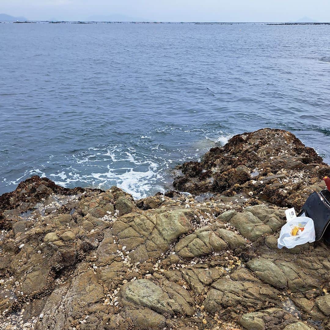 レジャーフィッシングさんのインスタグラム写真 - (レジャーフィッシングInstagram)「巨チヌの聖地として知られる高知県宿毛湾。 ここに生息するチヌは遊泳力に優れて パワフルなファイトで釣り人を魅了する。  愛媛県在住の名手・塩田孝吉さんも 宿毛のチヌに魅了された一人で、 足繁くフィールドへ通い大物を狙い続けています。  ４月末の釣行では、57.3cm&55cmの ２匹の年なしを含め数釣りを堪能！  ◆こちらの釣行記事は、６月５日発売の レジャーフィッシング７月号に掲載！ その他の記事は、ハイライト「最新号」の リンクボタンからアクセスしてチェック！ https://www.e-leisure.jp/book/  ◆ご購入はこちら 直販ショップ【レジャーフィッシング SHOP】 https://eleisure.theshop.jp/items/74877543  ◆岡山、広島、香川、愛媛、徳島、高知、 兵庫の一部、山口、福岡の主要な釣具店及び書店や Amazon等で販売しています。  #塩田孝吉 #fathom #ファゾム  #フカセ釣り #チヌ #黒鯛 #四国 #高知 #宿毛 #宿毛湾 #宿毛市 #レジャーフィッシング #釣り #海釣り」6月3日 19時00分 - leisurefishing