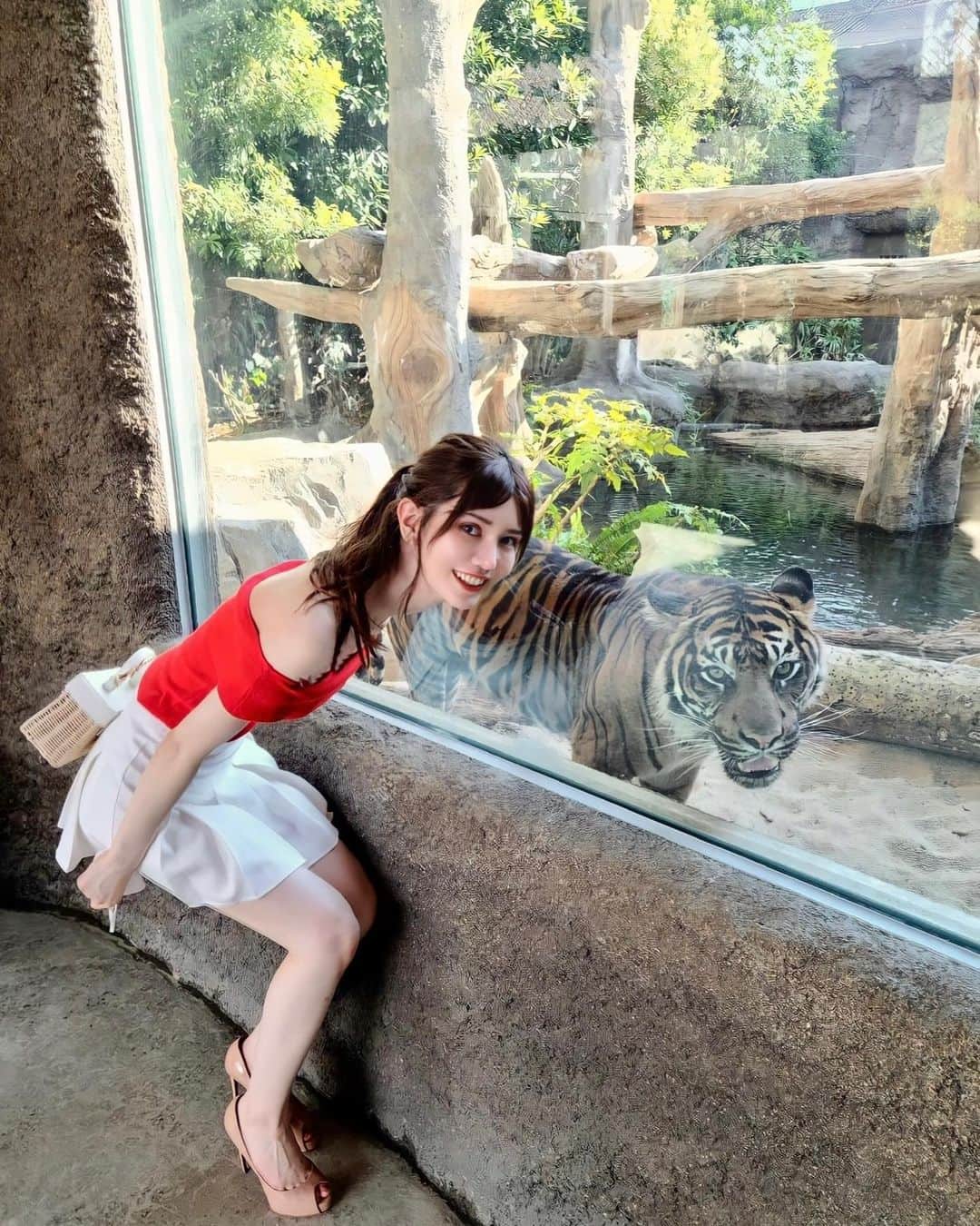 IKUMIさんのインスタグラム写真 - (IKUMIInstagram)「🐯 ガオーッ  神戸どうぶつ王国にて🦜  関西の動物園の中だったらどうぶつ王国が1番好き❤️ ニフレルとかも楽しいけど、 こんな近くで動物と触れ合えるの楽しい🐒  珍しい動物もたくさんいるから飽きないよ🦢  室内多めだから暑さとか匂いは屋外の動物園に比べるとマシだし デートにおすすめ👫💞  神戸旅行に来た人たちも是非観光の一環として行ってみて🐯  .  #神戸#神戸どうぶつ王国 #どうぶつ王国#動物園#tiger #デートスポット#神戸デート#神戸旅行#神戸観光#ポートアイランド#ポーアイ#zaraコーデ #ミニスカート#韓国ファッションコーデ #美脚#オフショル#肩出し#セクシーコーデ#セクシーガール#夏コーデ#asiangirls #asianbeauty #instagramer #japanesemodel #モデル#モデル募集中 #姫路#明石#西宮#芦屋」6月3日 19時17分 - miiiino3o