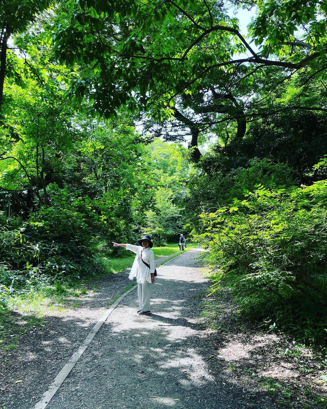 福田葉子さんのインスタグラム写真 - (福田葉子Instagram)「小石川植物園へ。会社からも近いのに初めて行きました。 鹿児島から母と姉が遊びに来まして。朝ドラ「らんまん」が始まるずっと前から、母は小石川植物園に行きたかったそうなんです。 今も公園ではなく、東大の研究所なのですべての植物に名札が付けられていて、それをひとつひとつ確かめながら散策するのがとても楽しい。「雑草という草はない」という牧野博士の言葉どおり。 一枚目は台湾の竹林。こんな竹、初めて見たよ！5枚目の不思議な葉っぱの付き方の木の名前は、イタリアヤマナラシ。青紅葉の道や見事なヒマラヤ杉、メタセコイアなど素晴らしい大樹がたくさんあるのも素敵。高い〜大きい〜と見上げるしかない気持ちよさ。 都内まん真ん中にこんな場所があるなんて。知らなかったよ。母のおかげですね。 秋にはまた違う風景が見られそう。また来よう。 @bg_utokyo  #botanicalgardens #koishikawabotanicalgarden #botanical #wow #amazing #love #tokyo #mother #walk #weekend #小石川植物園 #植物園　#母　#姉　#家族旅行　#植物　#牧野富太郎　#らんまん　#素敵　#好きな場所」6月3日 19時30分 - yoyoyokoko