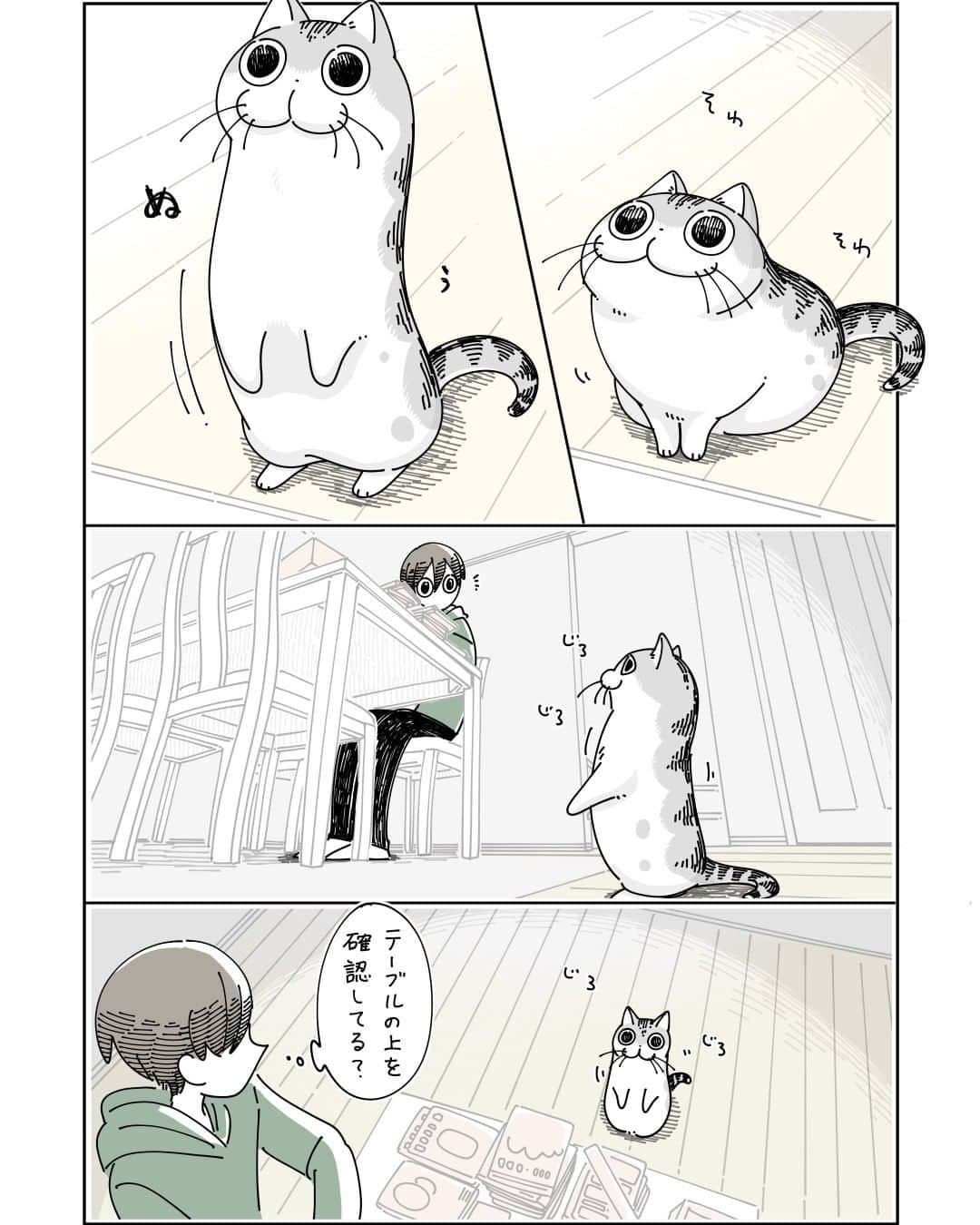 キュルZのインスタグラム：「確認してからとび乗る  #キュルガ #夜は猫といっしょ #猫 #cat #猫漫画 #猫のいる暮らし」