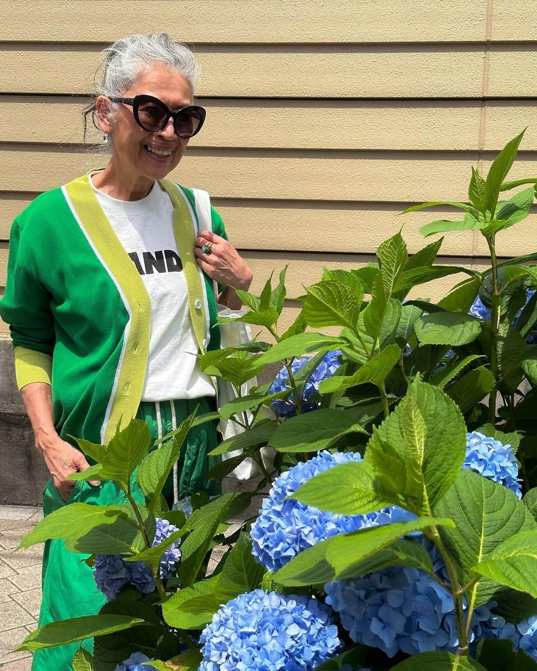 内藤朝美さんのインスタグラム写真 - (内藤朝美Instagram)「🦷さん行って、🍡買って、⛩️お参りして来た日。とっても気持ちの良い日でした。  Cardigan,pants: @plan_c_official  Bag: @un3d_official   #hydrangeas #紫陽花 #spring」6月3日 20時33分 - naito_saori