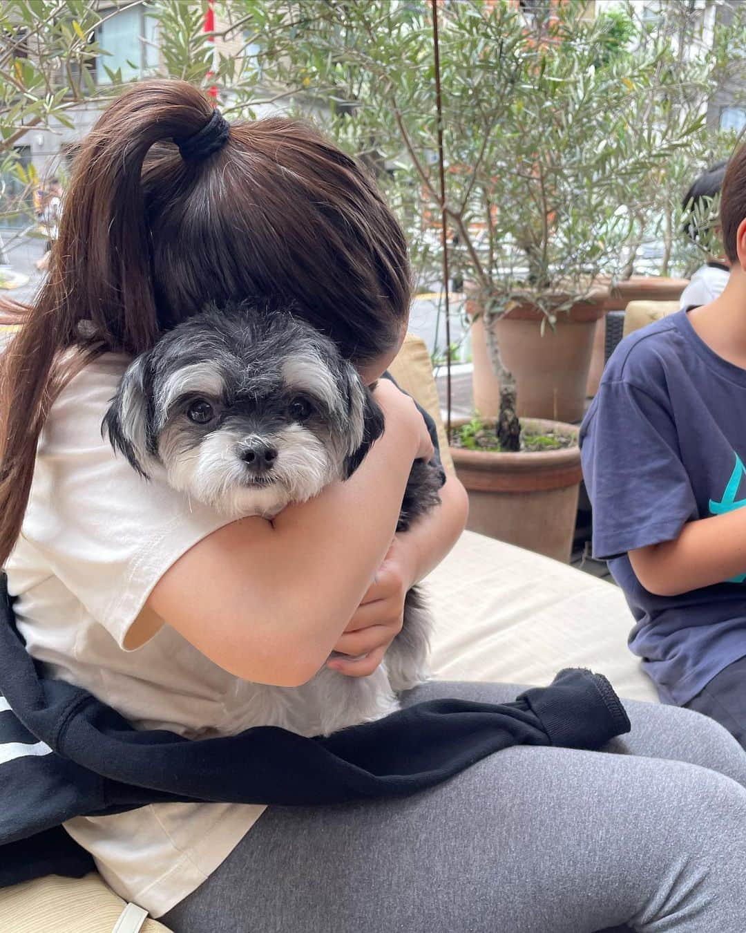 吉原珠央さんのインスタグラム写真 - (吉原珠央Instagram)「通称「のんびり犬」の我が家のムク♫  この子を見習わずして、のんびり時間は語れません！というほどの愛くるしい脱力感🤣  毛が伸び放題で、もしゃもしゃです。今夜はシャンプー&トリートメントで、ムクはとても良い香り。  さて、昨日は台風の中、娘が学校のキャンプから無事に帰宅してほっと一安心でした。  そして息子は、ぐらぐらしていた前歯がサッカー中に抜けたと思ったら、「いつ取れたかわかんない！」と笑顔の報告😂  まいっか！元気でさえいてくれれば♡  #犬のいる暮らし  #ミックス犬 #チワマル #のんびり犬 #土曜日 #週末 #子供たち #息子の前歯 #どこへ #見つかるのだろうか😆 #まいっか星人」6月3日 21時21分 - tamaoyoshihara