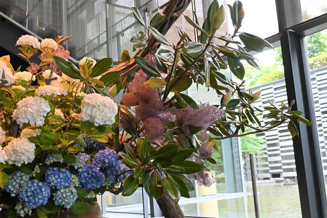 のインスタグラム：「タイトル「雨霞」 あじさいの花を中心に、けむりの木によって雨上がりの霞のような季節感あるデザインに。 晴れ間、ロビーに陽が降り注ぐとより表情が出ます。 __________  #ザキャピトルホテル東急 #TheCapitolHotelTokyu  #草月 #草月流 #ホテルロビー #hoteldesign #ikebana #flowerarrangement #sogetsu #flower #japaneseflowerarrangement #flowerstagram #ThePreferredLife」
