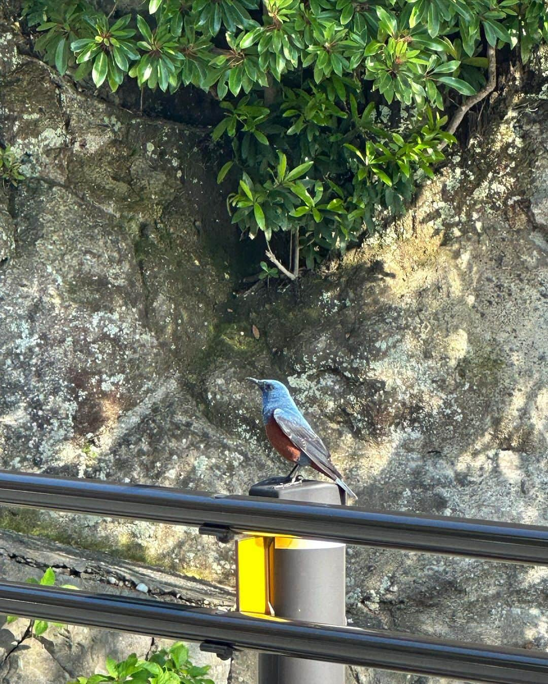 前沢海友さんのインスタグラム写真 - (前沢海友Instagram)「癒しの場所🌱🌳 ㅤㅤㅤㅤㅤㅤㅤㅤㅤㅤㅤㅤㅤ 山にに囲まれて海が透き通ってて 大自然しあわせっ ㅤㅤㅤㅤㅤㅤㅤㅤㅤㅤㅤㅤㅤㅤㅤㅤㅤㅤㅤㅤㅤㅤㅤㅤㅤㅤ ㅤㅤㅤㅤㅤㅤㅤㅤㅤㅤㅤㅤㅤ #大自然 #自然 #癒しの時間 #ファッション #私服 #みんコーデ #nature #photograph #memory #mountain #ocean #fashion #newpost #l4l」6月3日 21時26分 - maezawamiyu