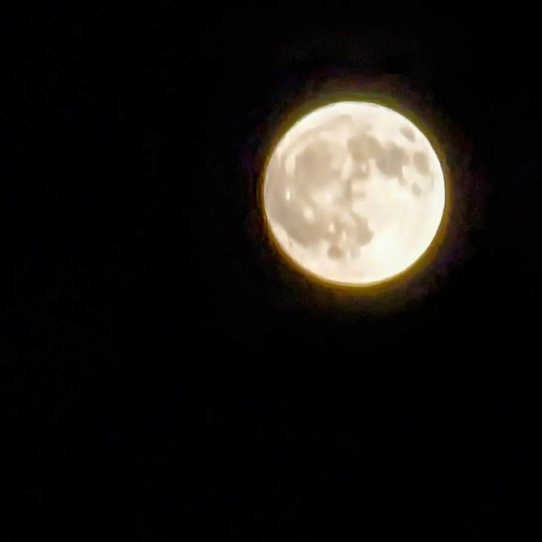 柳家三之助さんのインスタグラム写真 - (柳家三之助Instagram)「明日の昼頃満月らしいから、もうこれは満月ってことでいいよね。」6月3日 21時29分 - sannosuke