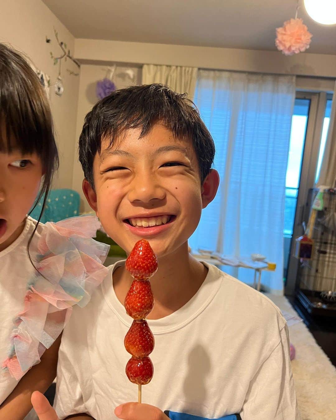 甘糟記子さんのインスタグラム写真 - (甘糟記子Instagram)「ピカチューアフタヌーンティーから戻り、息子殿も帰宅して試験勉強することに。  しかし！  最近立場の危うい我が家の家庭教師アンコさん、 成績不振のためバイト代カットされショーペロしてます。 アンコさん名前がイタリア語のビアンコから取ってるだけあって、イタリアでは良く起こるショーペロ、ストライキの事を知っていたようなんですね（笑）  お兄ちゃんの勉強をストップさせる天才（≧∇≦）  さらに横から変な邪魔きた〜（笑）  結局お土産のいちご飴タイム\(//∇//)\  テイクアウトしたいって言ったら、すぐ溶けちゃうから難しいと思うと言われたんですが、、、  コンビニで氷買ってあてながら帰って来ました（笑）  で、帰ってから一瞬冷凍庫へ！  そしたら大成功(≧∀≦)  お兄ちゃんも大喜び！  ピカチュー連れて行ってあげれなかったからね(^_−)−☆  それにしても勉強が全くはかどらない我が家でした╰(*´︶`*)╯♡  #甘糟アンコ#ねこすたぐらむ#猫と暮らす#猫のいる暮らし#白猫#我が家の家庭教師#白ネコ#メイクーン#オッドアイ#ダイクロイックアイ」6月4日 6時51分 - norihey924