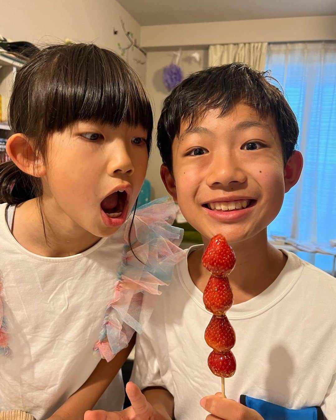 甘糟記子さんのインスタグラム写真 - (甘糟記子Instagram)「ピカチューアフタヌーンティーから戻り、息子殿も帰宅して試験勉強することに。  しかし！  最近立場の危うい我が家の家庭教師アンコさん、 成績不振のためバイト代カットされショーペロしてます。 アンコさん名前がイタリア語のビアンコから取ってるだけあって、イタリアでは良く起こるショーペロ、ストライキの事を知っていたようなんですね（笑）  お兄ちゃんの勉強をストップさせる天才（≧∇≦）  さらに横から変な邪魔きた〜（笑）  結局お土産のいちご飴タイム\(//∇//)\  テイクアウトしたいって言ったら、すぐ溶けちゃうから難しいと思うと言われたんですが、、、  コンビニで氷買ってあてながら帰って来ました（笑）  で、帰ってから一瞬冷凍庫へ！  そしたら大成功(≧∀≦)  お兄ちゃんも大喜び！  ピカチュー連れて行ってあげれなかったからね(^_−)−☆  それにしても勉強が全くはかどらない我が家でした╰(*´︶`*)╯♡  #甘糟アンコ#ねこすたぐらむ#猫と暮らす#猫のいる暮らし#白猫#我が家の家庭教師#白ネコ#メイクーン#オッドアイ#ダイクロイックアイ」6月4日 6時51分 - norihey924