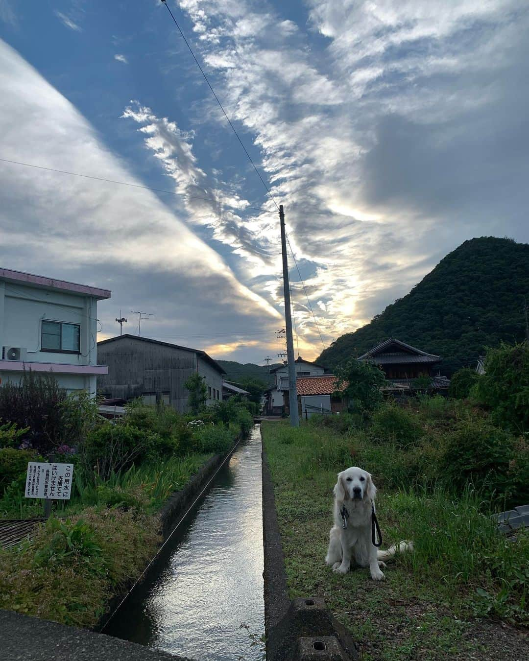 P太郎ママさんのインスタグラム写真 - (P太郎ママInstagram)「ドラマチックな空！」6月4日 7時17分 - ptarodada