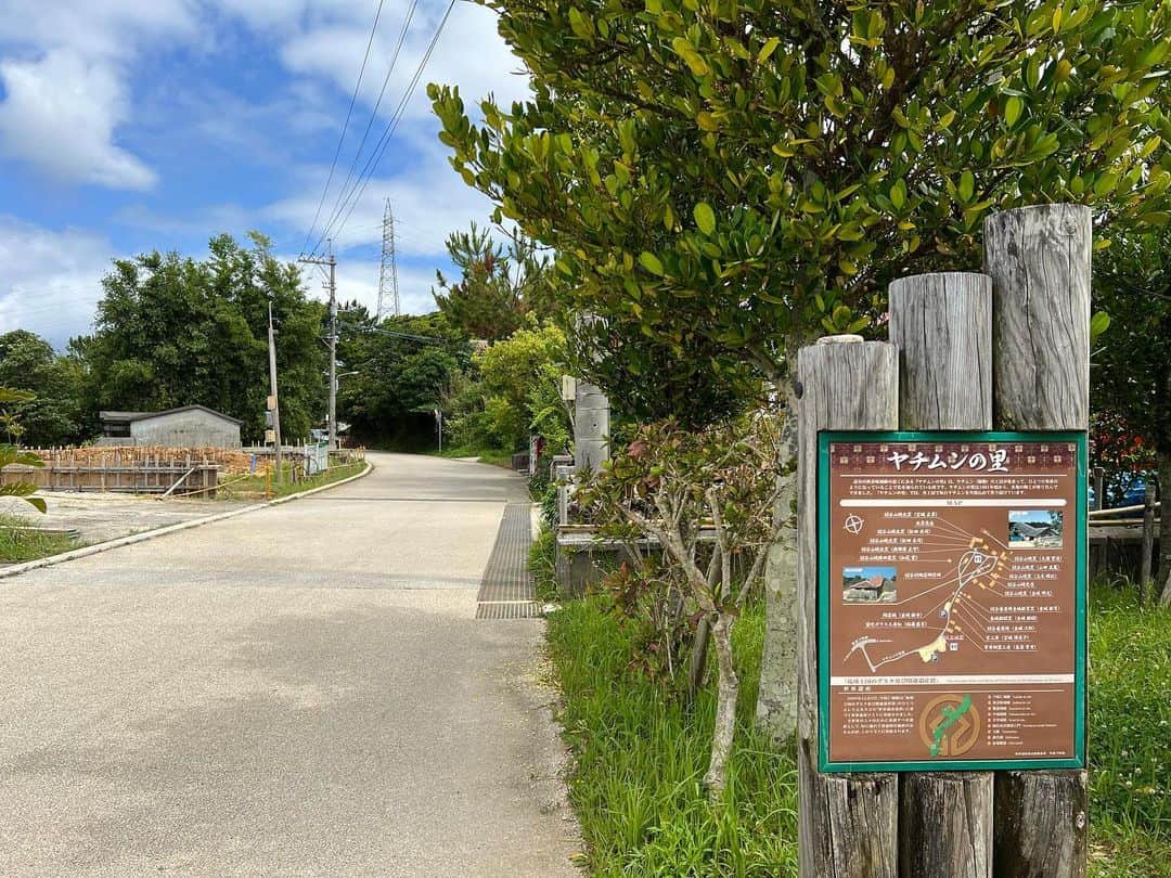 高松いくさんのインスタグラム写真 - (高松いくInstagram)「🌺  じゅんぴーさん😍 オススメありがとうございます✨  行ってきました♪  のんびり何周回ったことだろう🤭  見える景色ややちむん食器 聞こえてくる音 動物 自然のエネルギー感じる木々 この日も良いお天気で 青空と風と太陽と 沖縄にいるんだーっと 海以外でものすごく実感するひと時でした😌  #やちむんの里  #お散歩 #日本 #沖縄 #文化  #okinawa #okinawatrip #okinawajapan #okinawatravel #yachimun #yachimunnosato」6月4日 8時17分 - iku_takamatsu_trip_sup_yoga