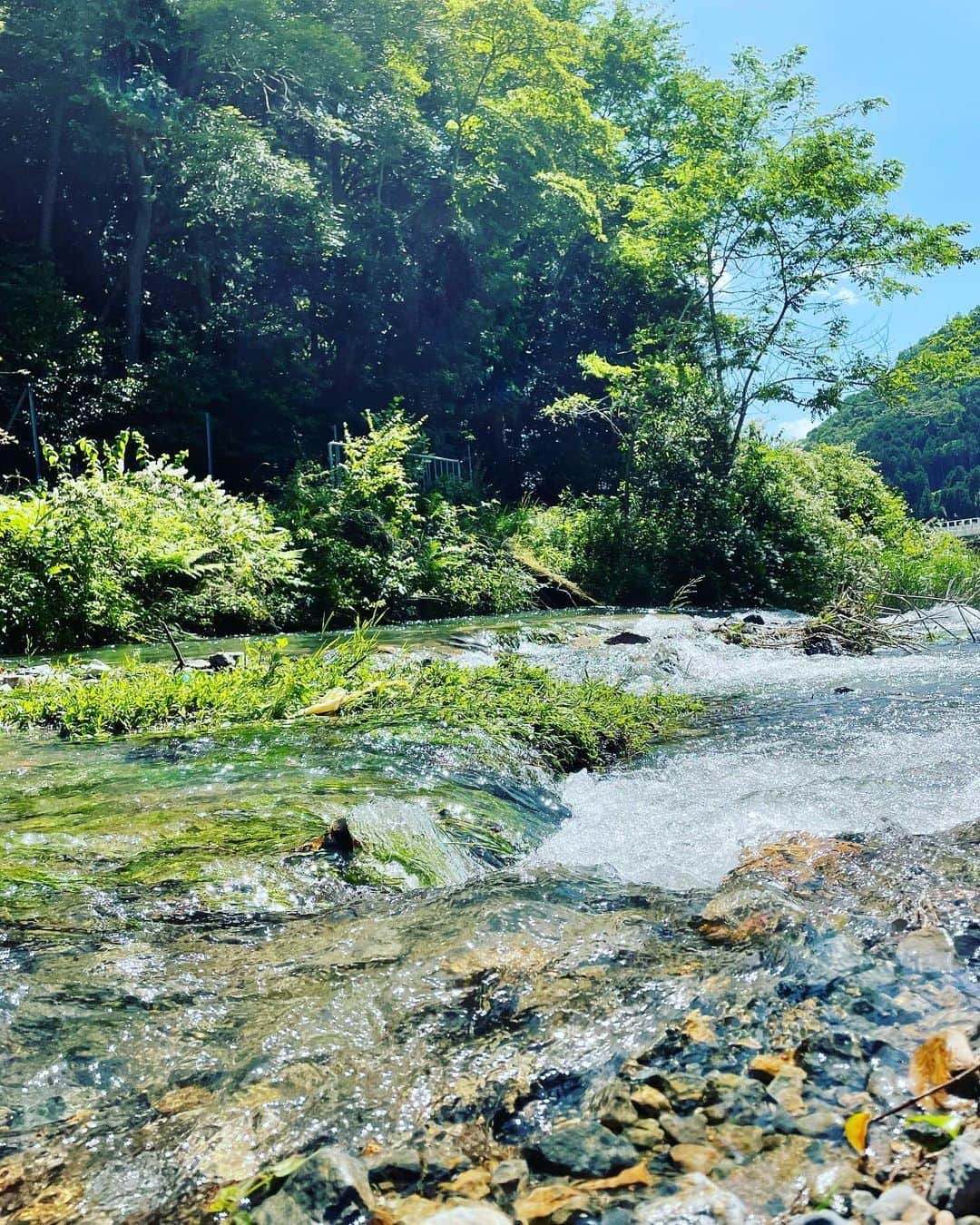 岸田繁さんのインスタグラム写真 - (岸田繁Instagram)6月3日 23時24分 - kishidashigeru