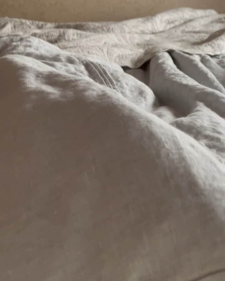 住吉美紀のインスタグラム：「ベッド大好きチームの最近。 #welovethbed247 #ネコ #cat」