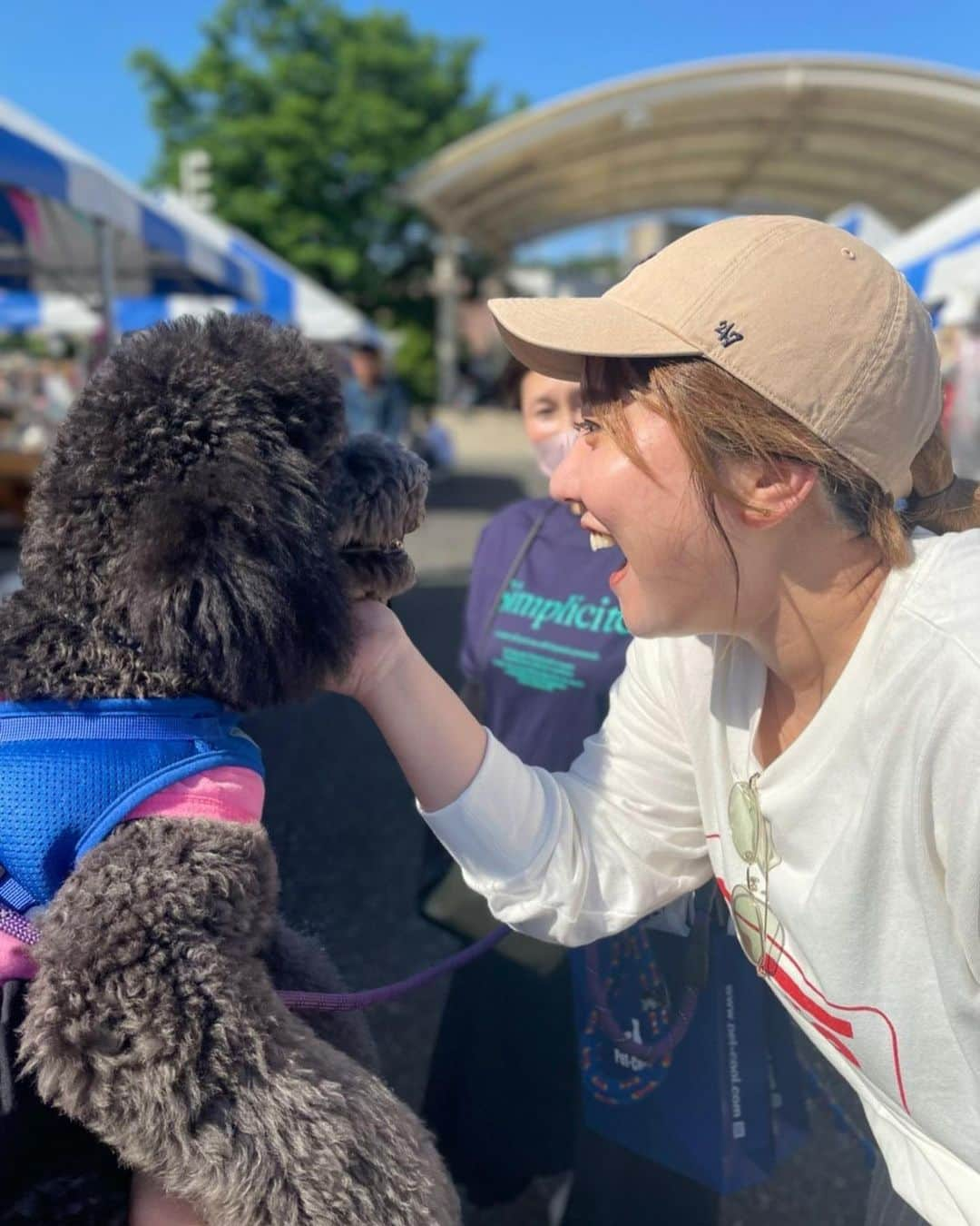 服部さやかさんのインスタグラム写真 - (服部さやかInstagram)「犬放題🐾」6月4日 3時03分 - hattori_chan1225