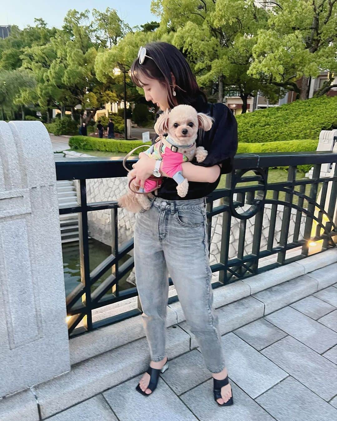 杉野希妃のインスタグラム：「原爆ドームと平和記念公園を結ぶ、爆心地から最も近い橋。欄干の元の字に注目👀」