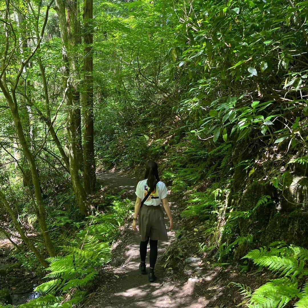 RIKOのインスタグラム：「リフト乗っただけで食べるお団子 6号路で下山」