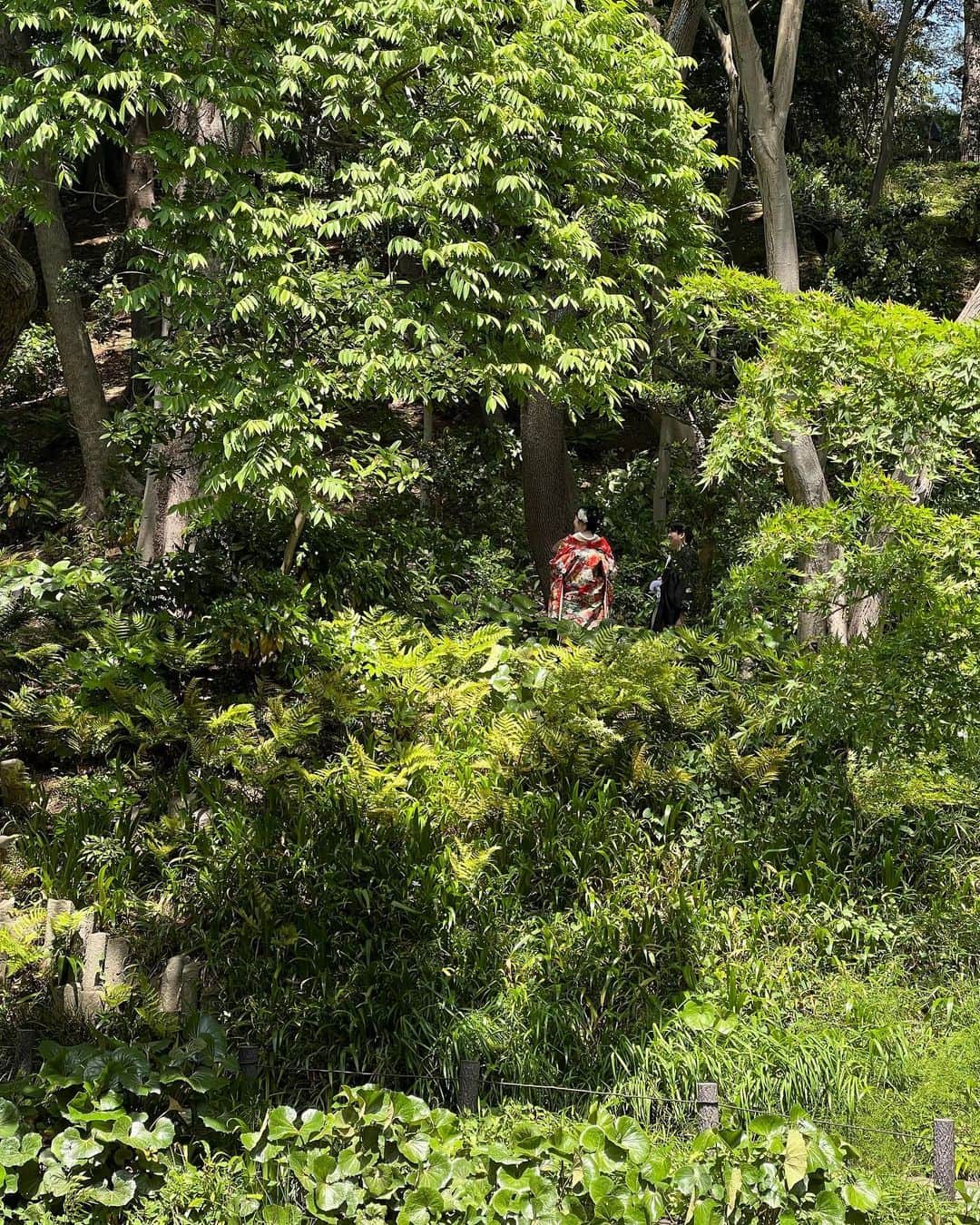 ヨネスケさんのインスタグラム写真 - (ヨネスケInstagram)「細川庭園で結婚式💒 おめでとう㊗️ございます❤️」6月4日 17時19分 - yonesuke5656