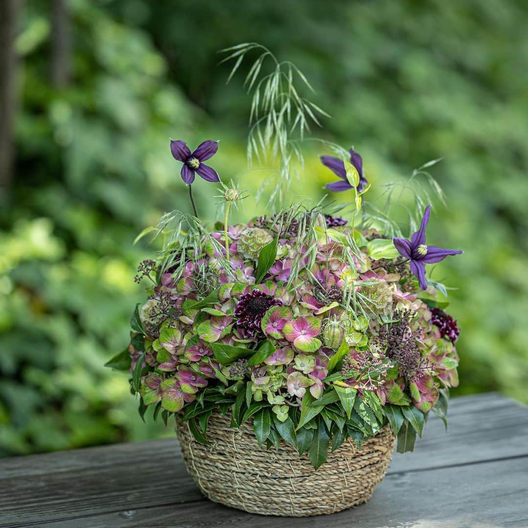 ニコライ・バーグマン・フラワーズ＆デザインのインスタグラム：「6.10 (sat)⁠ Special Workshop with Hydrangea at Hakone Gardens⁠  大自然の中で開催するワークショップ⁠ この機会をお見逃しなく!⁠ ⁠ 💐 ご予約希望の方は @nicolaibergmann_hakonegardens のプロフィルのリンクをアクセスください。⁠ ⁠.⁠ .⁠ .⁠ .⁠ #nicolaibergmann #hakonegardens #箱根 #箱根旅行 #箱根カフェ #箱根観光 #flowerschool #フラワースクール #フラワーアレンジメント #フラワーレッスン #フラワーアレンジメントレッスン」