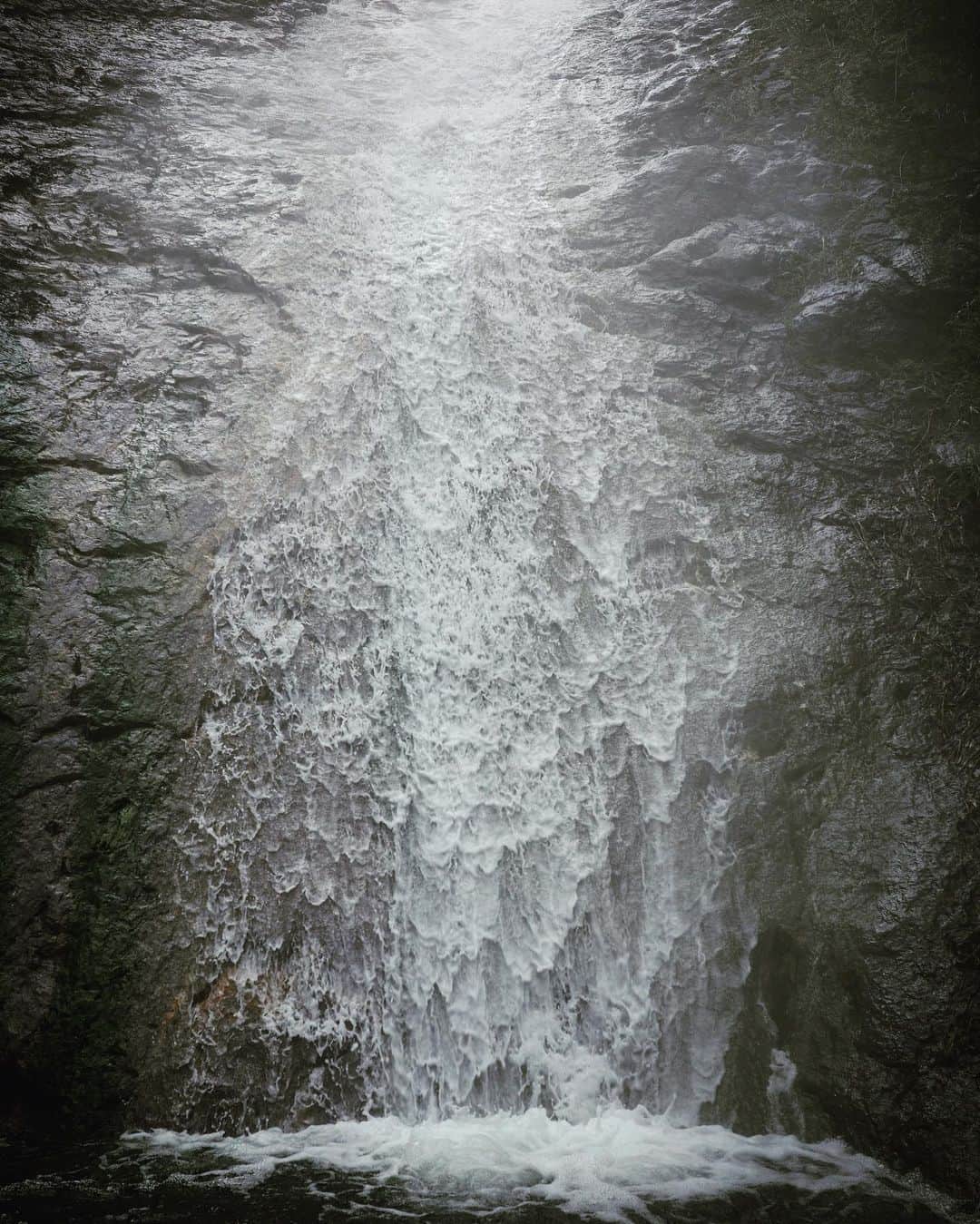 石川直樹さんのインスタグラム写真 - (石川直樹Instagram)「#Shiretoko, #Hokkaido 数ヶ月ぶりに#知床半島 に来ています。#カムイワッカ湯の滝 への入域が7月中旬から予約制/有料になるにあたって、許可をもらって現在の状況を撮影しにきました。 上に行けば行くほど温かくなるお湯の滝を遡りました。もう4〜5回目ですが、あらためて#知床 ならではの稀有な環境だなあ、と。 こちら、旅するのに最高の季節です！ . #shiretokophoto」6月4日 12時48分 - straightree8848