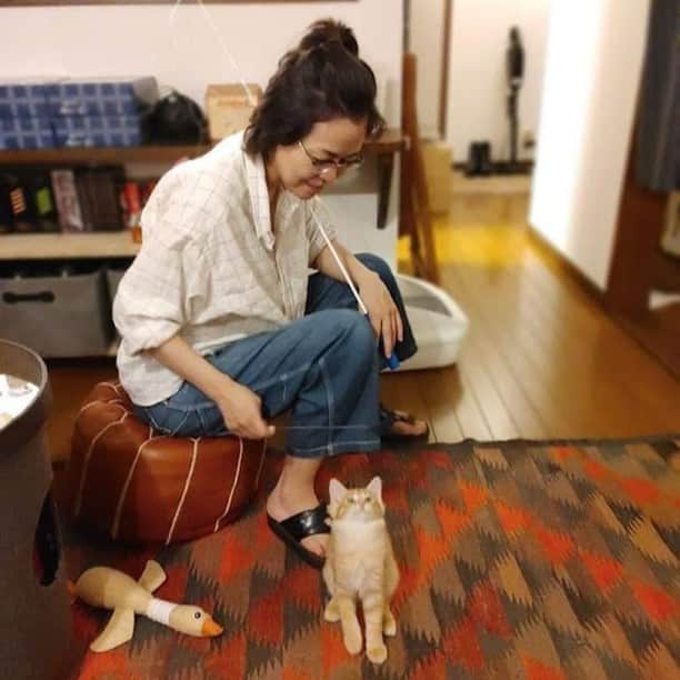岡田屋鉄蔵のインスタグラム：「3年前。こんなサイズだったんやで。」