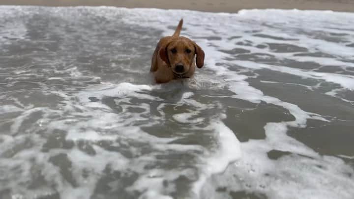 トム・フェルトンのインスタグラム：「🏖️」