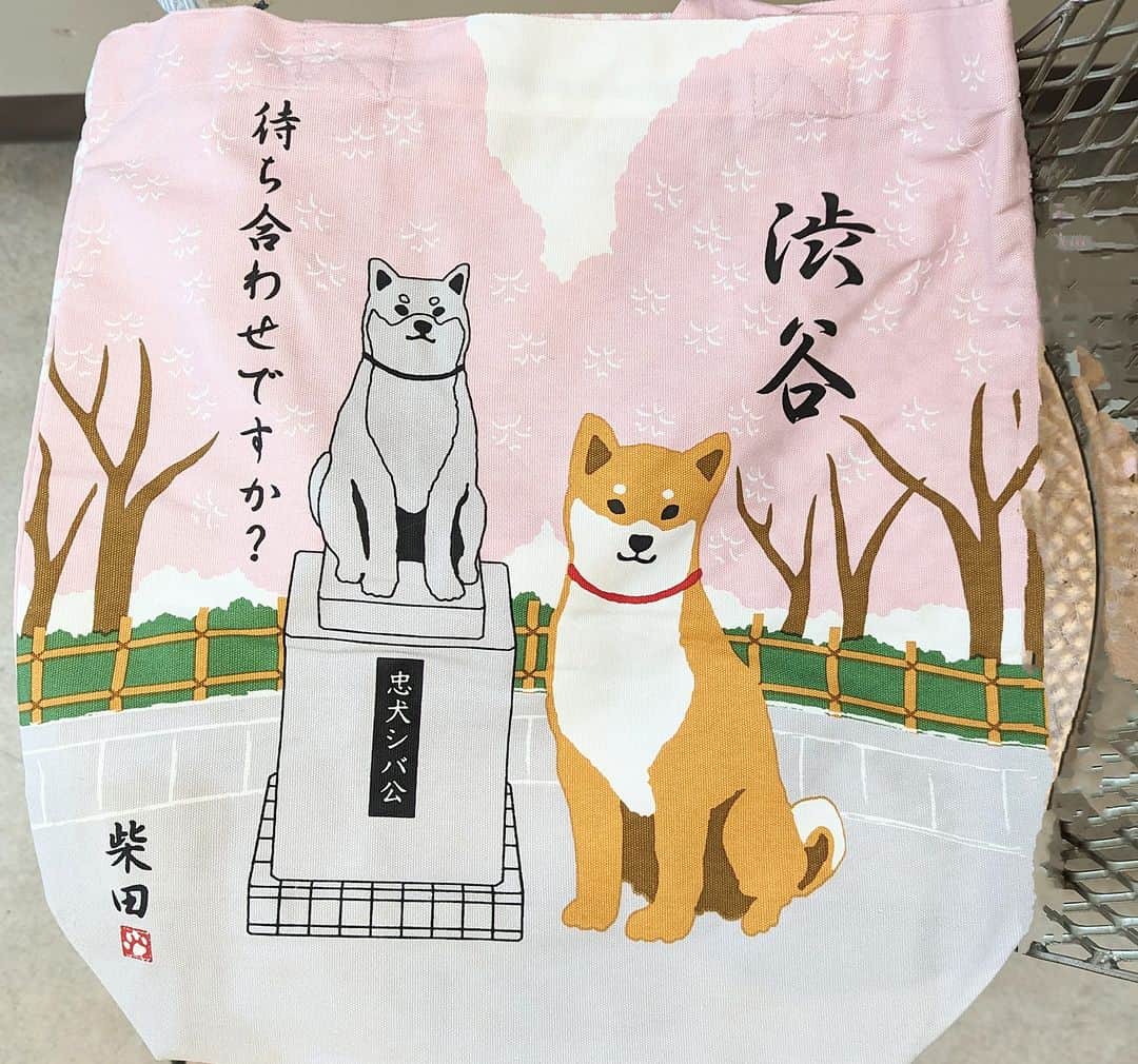 平井富子のインスタグラム：「柴犬トートバッグ、新デザイン入荷！  渋谷の忠犬ハチ公でなく、忠犬シバ公です〜  可愛い〜」