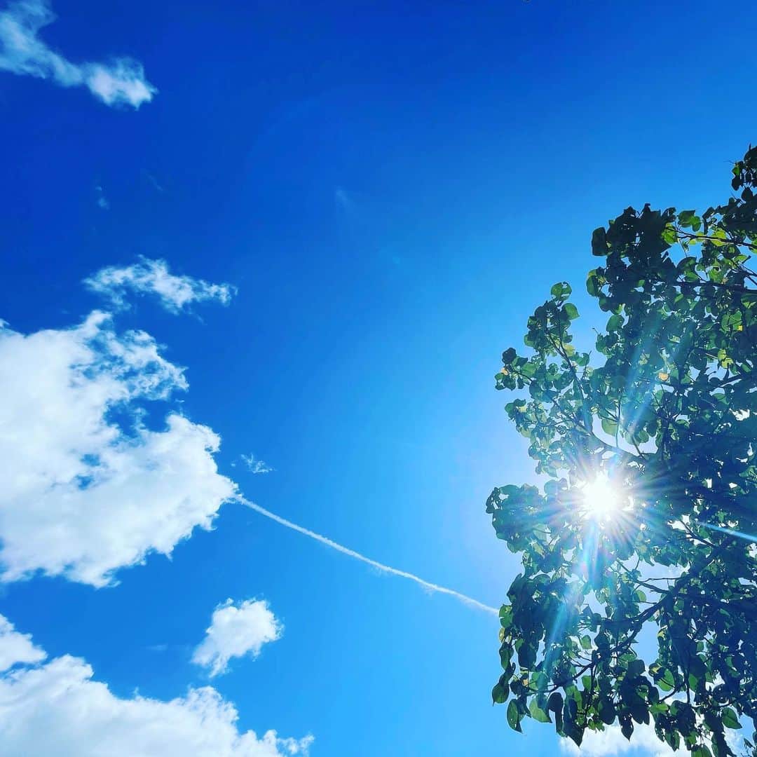 のインスタグラム：「本格的な夏！公園暑すぎて、すぐそこのジムバトルすら歩けなかったww←ポケモンGOの話  リコピンとカリウムのためにトマトジュースを朝飲んで、どうにか頑張ります。。  熱中症気をつけて、元気にすごしましょ☀️」