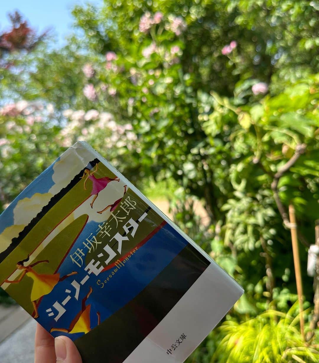 中島安里紗さんのインスタグラム写真 - (中島安里紗Instagram)「青空に緑と淡いピンクが良く映える🩵💚🩷最高すぎるシチュエーションでの読書するぞー📖ってウキウキしてたんだけど、この日はとにかく暑過ぎて…☀️20分くらいでギブアップでした😂それでも好きなものに囲まれて幸せな時間でした📖🌹  #横浜イングリッシュガーデン #イングリッシュガーデン #ローズフェスティバル #薔薇 #薔薇園 #花 #花が好き #幸せ #happy #rose #flower #花好きな人と繋がりたい #読書 #読書好き #読書好きな人と繋がりたい #女子プロレス #女子プロレスラー #prowrestler #中島安里紗 #seadlinnng」6月4日 15時02分 - arisa__nakajima