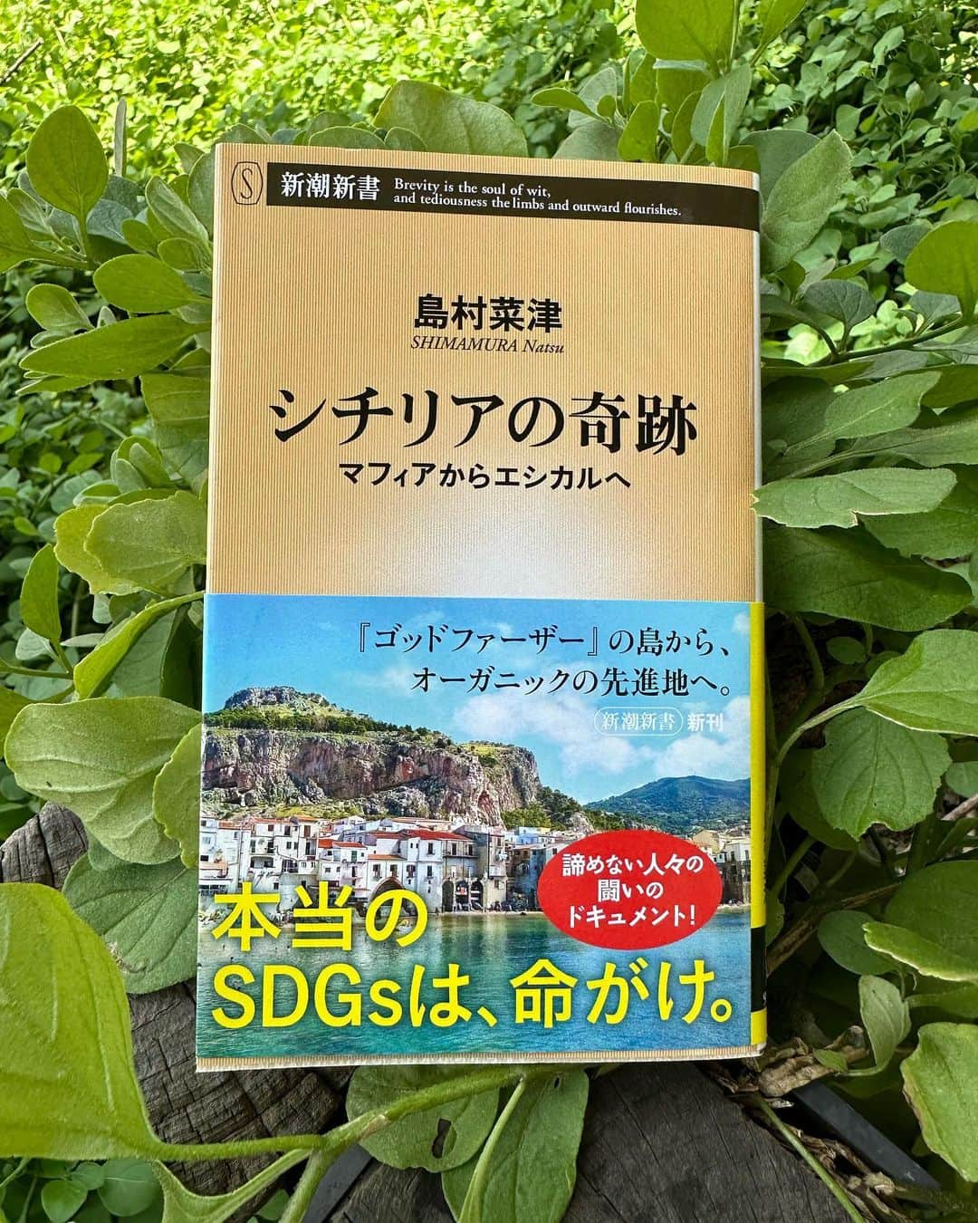 末吉里花のインスタグラム：「【6/20（火）夜ノンフィクション作家・島村奈津さんと辻信一先生とオンライントークをさせていただきます！】  島村さんは最近新しく本を出版なさいました。新著のタイトルはなんと！『シチリアの奇跡〜マフィアからエシカルへ〜』！  マフィアからエシカル😳 こりゃ、話を聞かないわけにはいかないですね！  島村さんとは初共演で今からワクワクしています。 辻信一先生のお話は、本当に本当に本当に面白くて、毎回心がワクワク踊ったり、自分の心と向き合えるようなお話をしてくださるので、今回また共演することができてとても嬉しいです。  トークのタイトルは 【島村菜津ｘ末吉里花ｘ辻信一　エシカルの奇跡～イタリアと日本の食・農、暮らしムーブメントに学ぶ】 です♪  お申込み・詳細はぜひ下記よりお願いいたします！ 皆様とオンラインでお会いできることを心待ちにしています！  https://0620ethical.peatix.com/  #ethical #sicily #localization #organic #エシカル #オーガニック #シチリア #ローカリゼーション #島村奈津 #辻信一 #末吉里花 #シチリアの奇跡マフィアからエシカルへ」