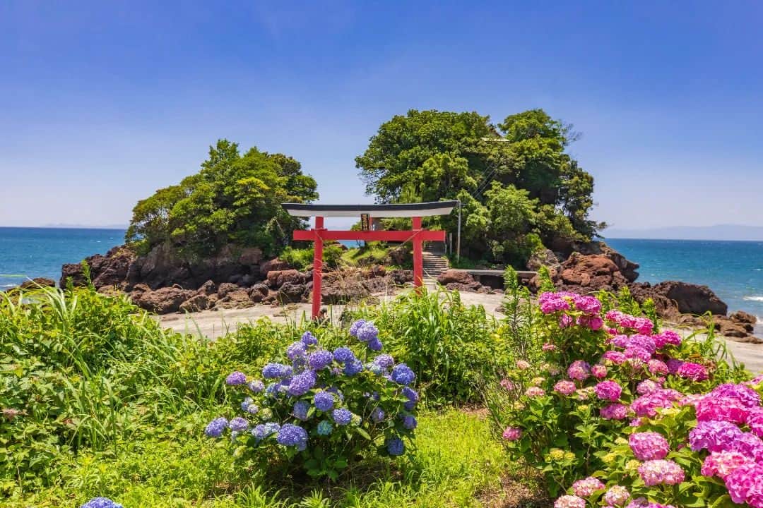 鹿児島よかもん再発見のインスタグラム：「鹿屋市天神町にある荒平天神へ(^-^)/  フォトスポットとして人気の場所ですが、6月は紫陽花も咲いて、晴天時はさらに美しい‼️  夕陽も！と、思いましたが、別な場所が目的だったので、今回は見送り😢  いつか夕陽もここで見たいものです🌇  ※神社に伸びる電線は空部分のみ消しておりますm(__)m  #鹿児島 #鹿児島観光 #鹿屋市 #鹿屋 #鹿屋市観光 #荒平天神 #鹿児島の自然 #鹿児島の風景 #神社 #japan  #kagoshima  #kagoshimaphoto  #kagoshimaphotograph」