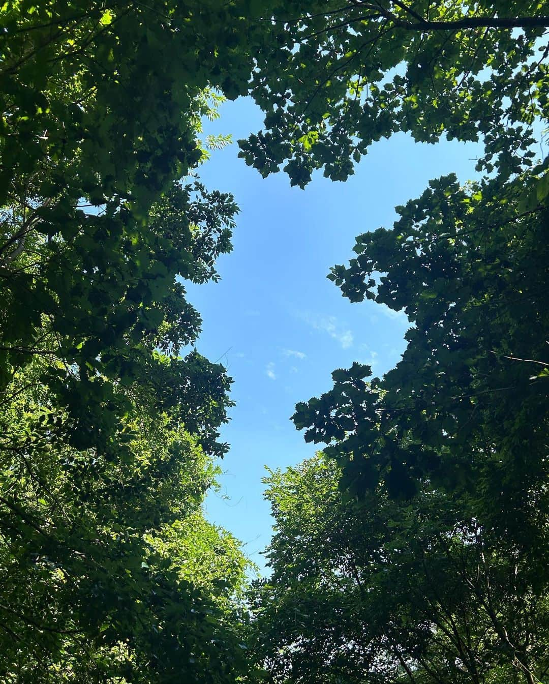 비비さんのインスタグラム写真 - (비비Instagram)「#인왕산 2시간 트래킹코스 추천🌿🌷🩵  완벽한 날씨, 한결같은 자연, 곳곳의 예쁨과 낭만 가득해  등산 - 수성동계곡 #인왕산숲속쉼터 #인왕산정상 (30분) 하산 - 기차바위 개미마을 (30분) 홍제천산책로 - 홍제동 부암동 (30분) 커피한잔 후 인왕산자락길 - 윤동주문학관 초소책방 수성동계곡 (30분)」6月4日 15時36分 - baglevivi