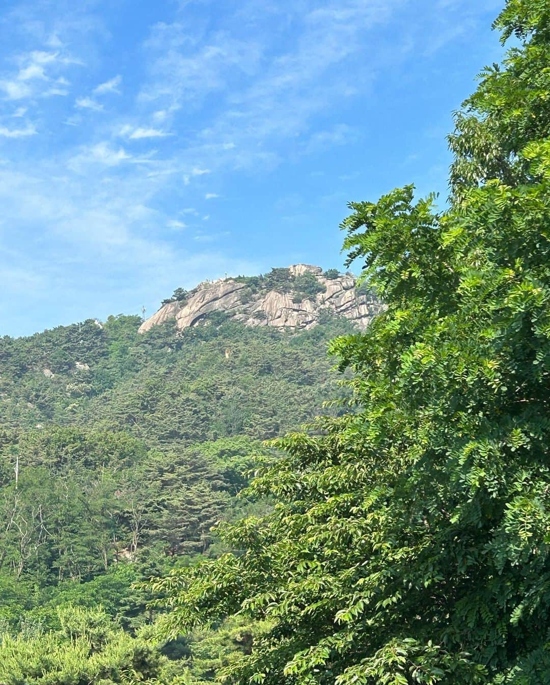 비비さんのインスタグラム写真 - (비비Instagram)「#인왕산 2시간 트래킹코스 추천🌿🌷🩵  완벽한 날씨, 한결같은 자연, 곳곳의 예쁨과 낭만 가득해  등산 - 수성동계곡 #인왕산숲속쉼터 #인왕산정상 (30분) 하산 - 기차바위 개미마을 (30분) 홍제천산책로 - 홍제동 부암동 (30분) 커피한잔 후 인왕산자락길 - 윤동주문학관 초소책방 수성동계곡 (30분)」6月4日 15時36分 - baglevivi