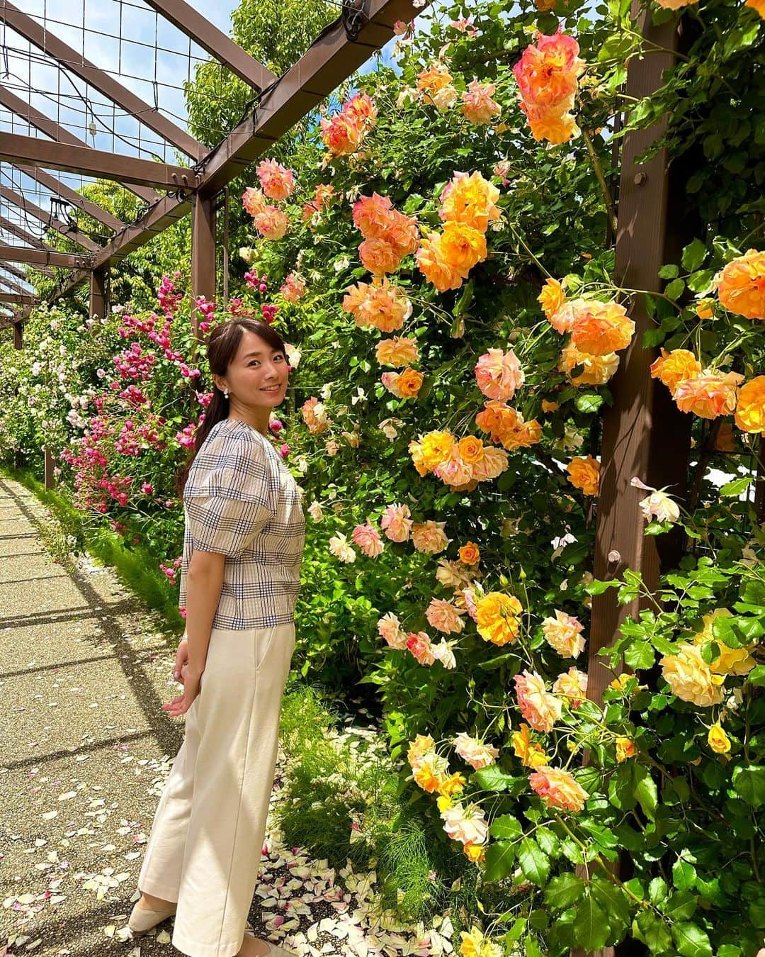 今井美穂のインスタグラム：「⁡ この季節はバラが咲き誇ってて🌹✨ 景色にも香りにも癒されます🥰 ⁡ 息子が写真を撮るときに しっかりポージングするようになり 面白い🤣笑 ⁡ ここは新潟市いくとぴあのキラキラガーデン✨ ⁡ あとは私の地元見附市のイングリッシュガーデン お隣長岡市の国営越後丘陵公園 こちらの3大バラスポットは ぜひ巡っておきたい🥹✨ ⁡ #バラの季節 #バラ園 #いくとぴあ食花 #息子4歳」