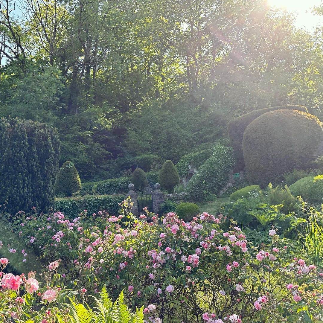 ケリー・ブルックさんのインスタグラム写真 - (ケリー・ブルックInstagram)「My Garden in the Woods 🪵🌸 #KentlivingwithKelly」6月4日 16時10分 - iamkb