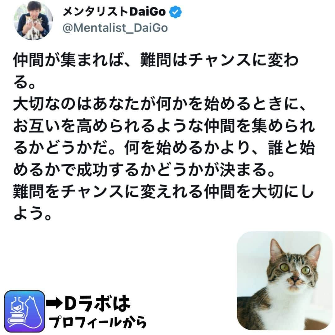 メンタリストDaiGoさんのインスタグラム写真 - (メンタリストDaiGoInstagram)「🐈本日の名言📚 プロフィールからDラボもみてね   #心理学 #メンタリスト #dラボ  #dラボはプロフィールから」6月4日 18時00分 - mentalistdaigo